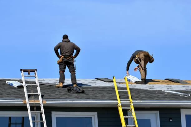 Roof Maintenance Tips Every Homeowner Should Know